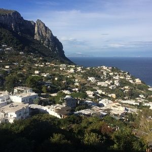 Meet your Posher, Felicia